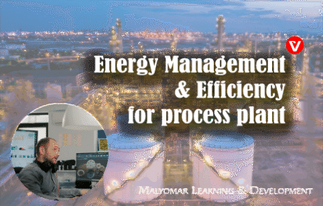 Energy Management and Efficiency for process plant