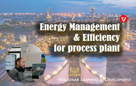 Energy Management and Efficiency for process plant