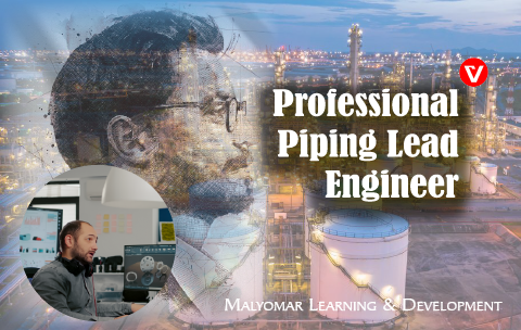 Professional Piping Lead Engineer